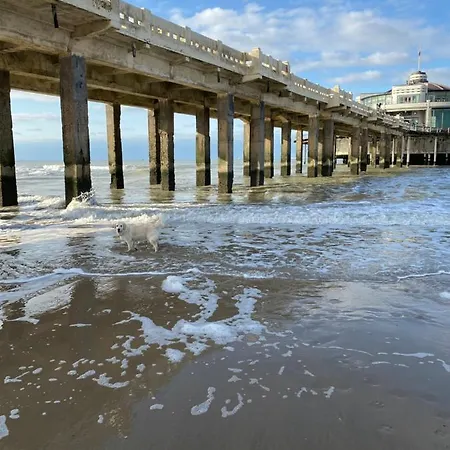 Liberty - Vakantiecentrum * Blankenberge